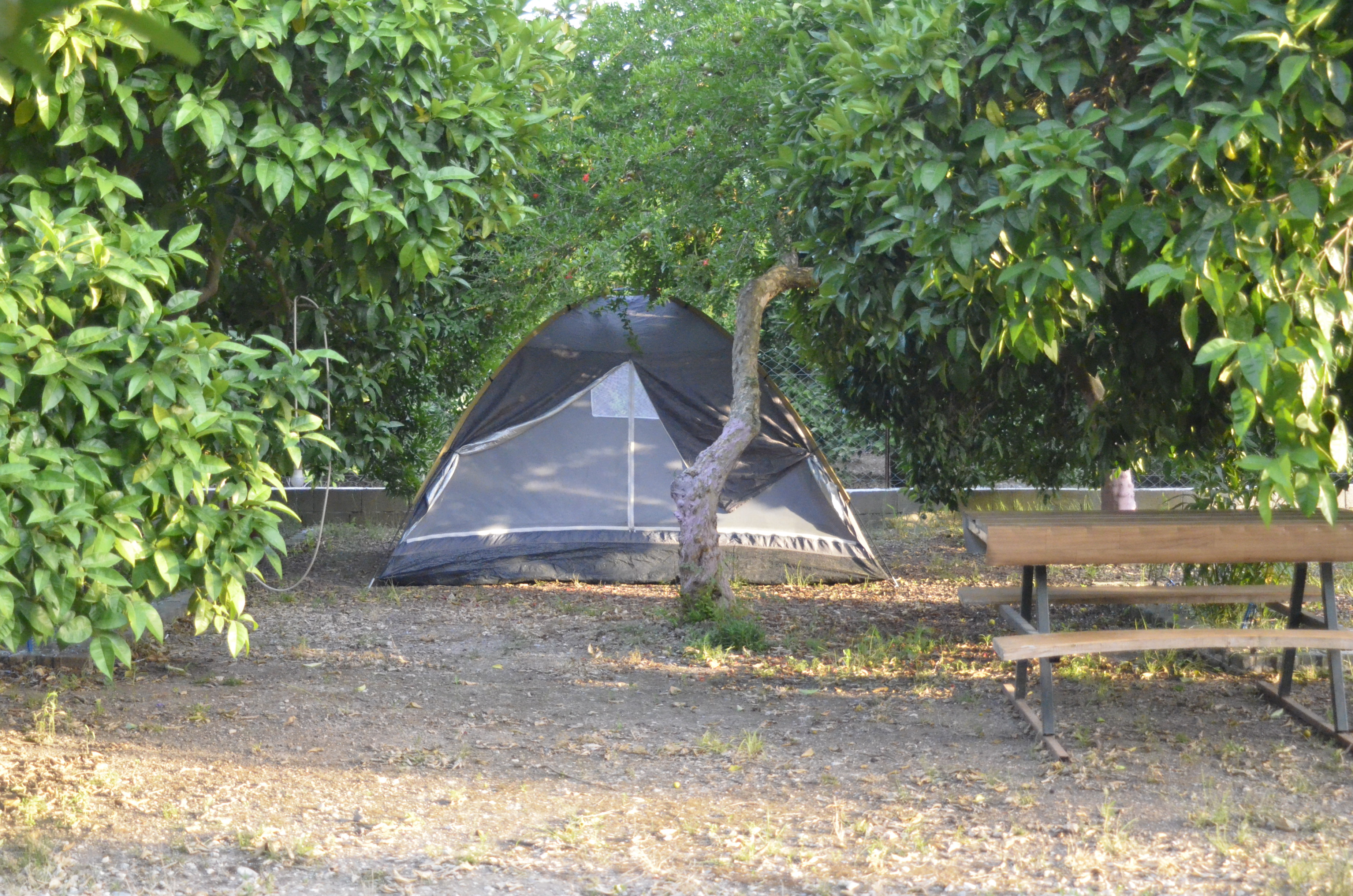 Kamp Alanımız
